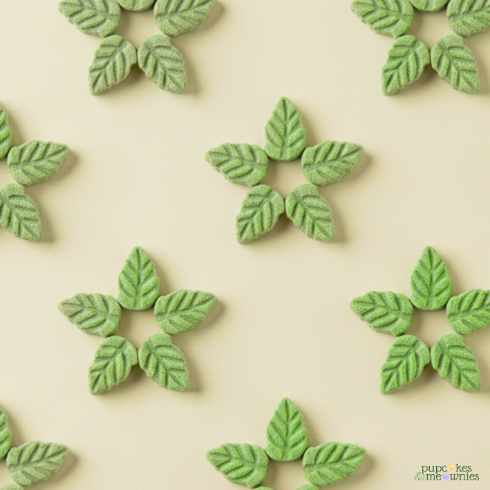 Cat Grass Leaf